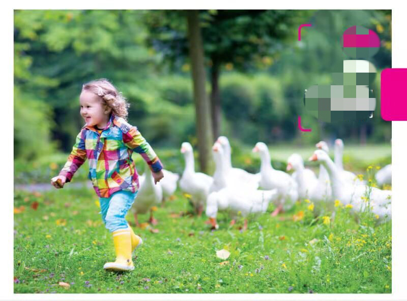 万物静观皆可自得什么意思,万物静观皆可得