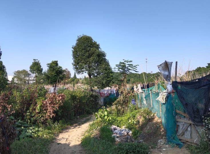 璧拌鍩庡競娲诲姩鐩爣,璧拌鍩庡競