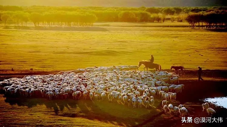 森林草原自驾游,森林亲子旅游攻略图片大全