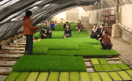 返乡创业山沟里的致富路,关于乡村返乡创业的思考