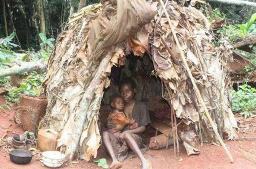被称为“小人族”的非洲俾格米人，为什么10岁就能结婚生子