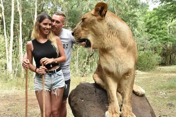 前巴萨天才与女友假期溜狮子两人在狮子身后接吻你敢吗？