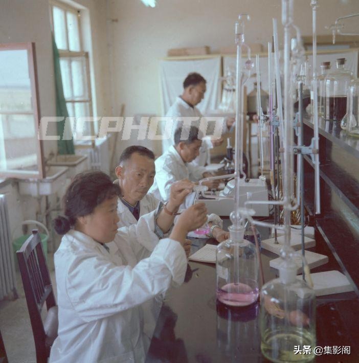 榆林市镇川镇老照片 (榆林市卫校老照片)