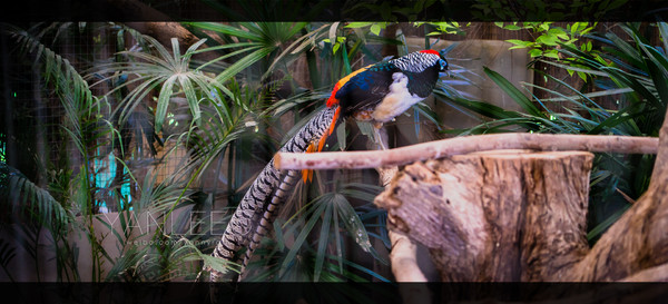 泰旅局发布2019年泰国旅游新玩法,曼谷漫游攻略