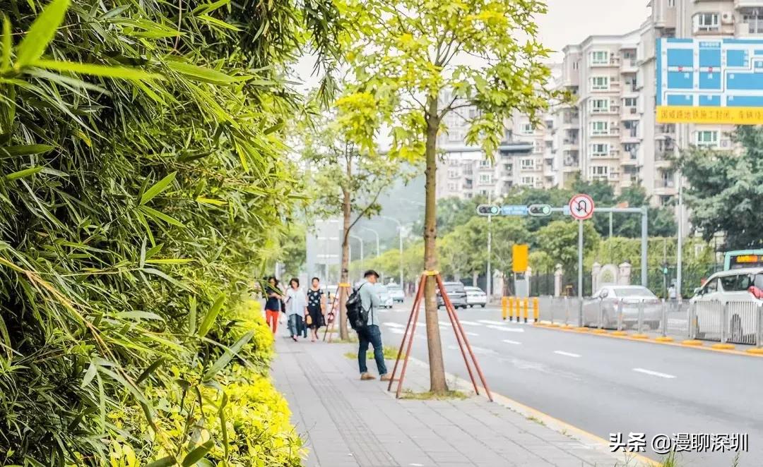 深圳空气中氡含量全国第一,深圳市负氧离子大概是多少