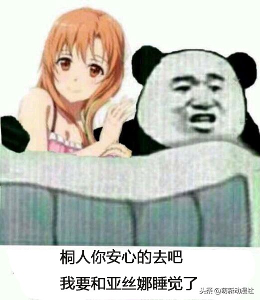 刀剑神域桐人小说,刀剑神域桐人圣剑