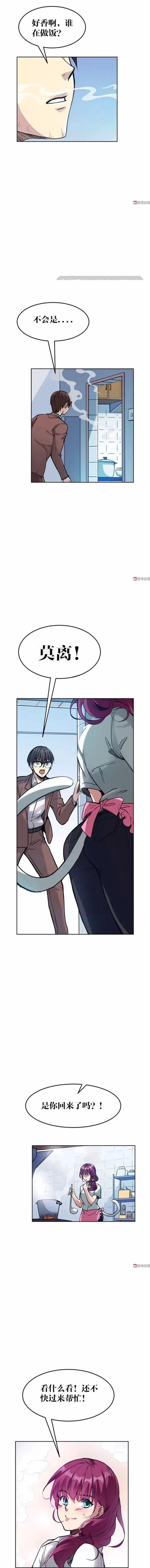 猫咪拟人化漫画,天秤座漫画猫咪