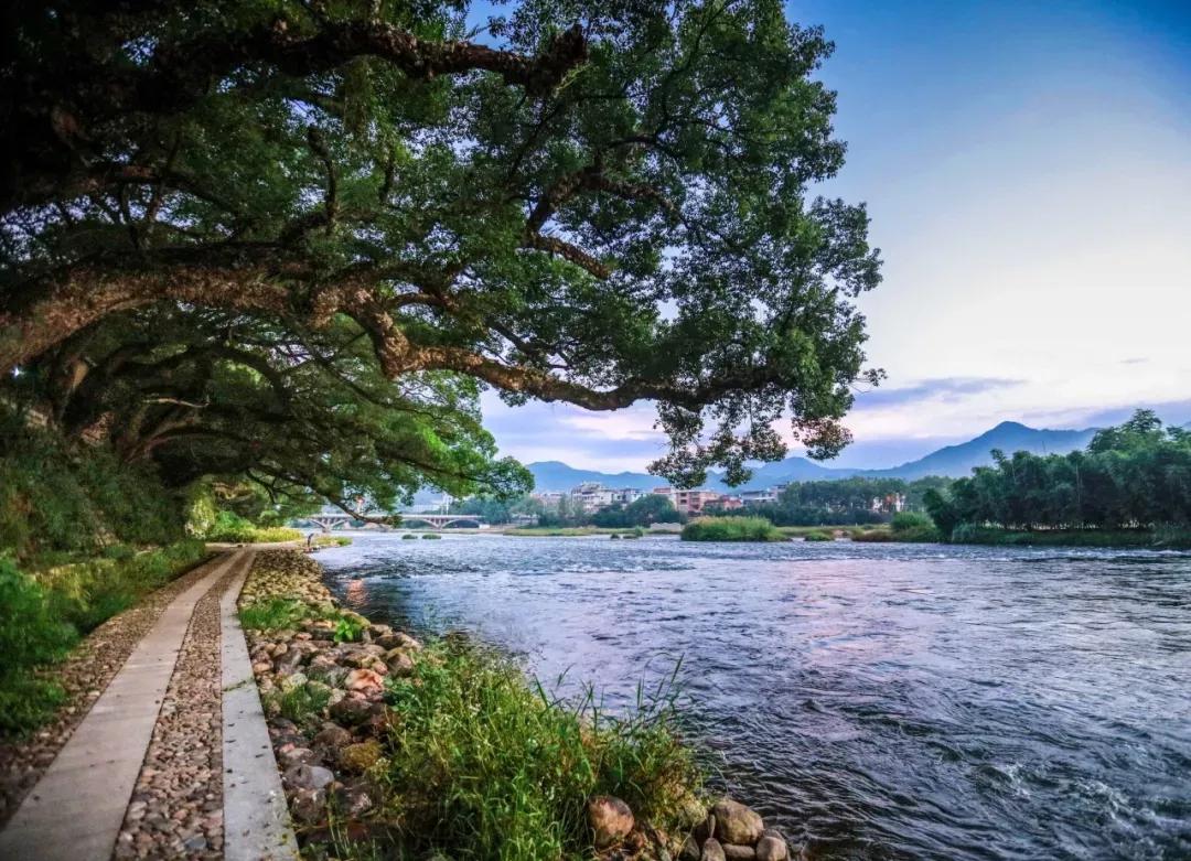 福安好吃的东西,福安最好吃的东西