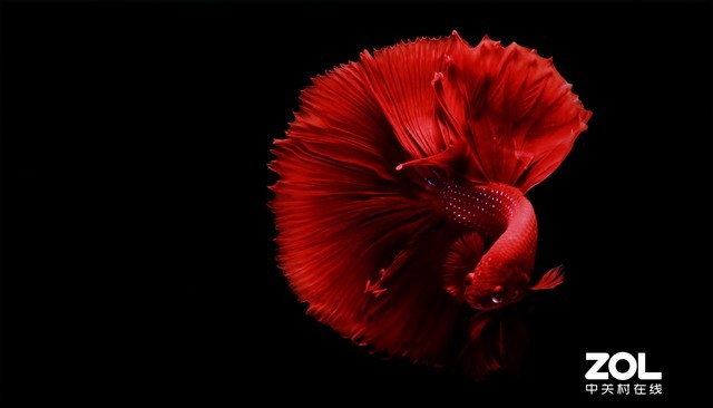 普通大屏电视与华为智慧屏怎么选,华为的智慧屏和电视的区别