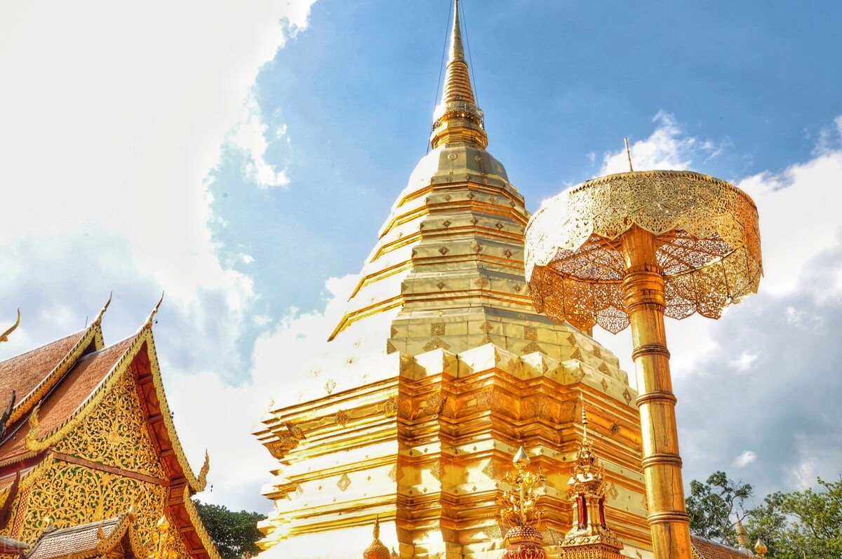 荷兰郁金香泡沫事件,荷兰郁金香泡沫持续多久