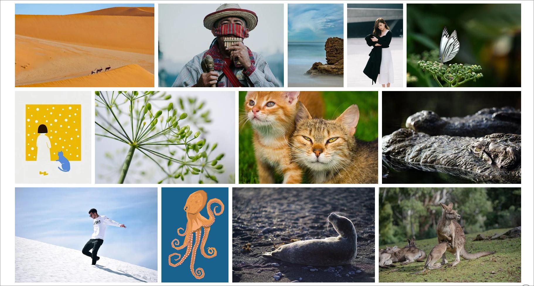 这9个工具网站，帮你轻松甩同事几条街，建议收藏