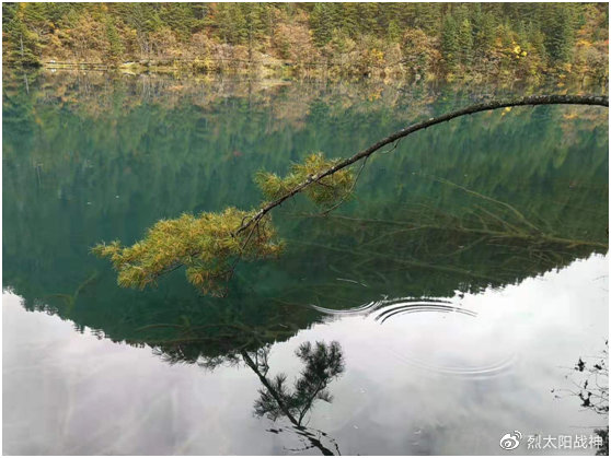 西安重庆成都九寨沟旅行顺序,出游记之四川