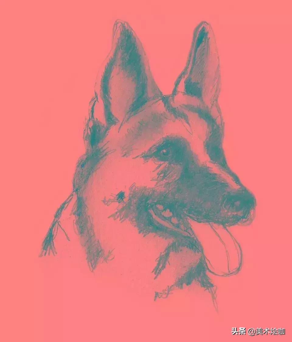 6-12岁儿童素描课程画动物,素描动物教程简单8-12岁