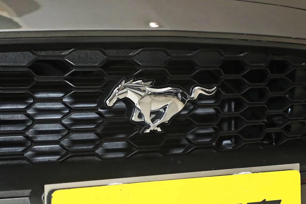 福特野马从里面怎么开,福特野马怎么免费试驾