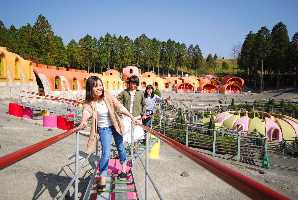 比熊猫小的熊有哪些,比大熊猫还濒危的小熊猫