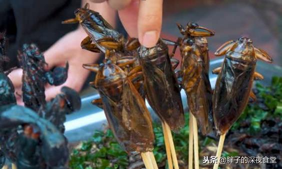 蟑螂最怕3个克星专治蟑螂,蟑螂怕什么它会自己走出来