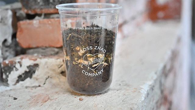 济南芝士厚乳茶,三里屯芝士厚乳茶