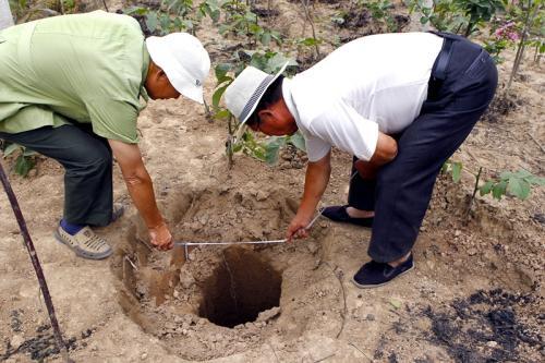 千年古墓发现十二个盗洞,千年古墓被发现这些珍宝重见天日