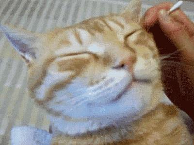 耳朵到底该不该掏如何正确掏,怎么正确掏耳朵还掏得干净