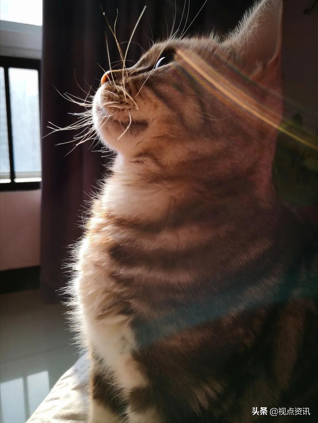 彩色的梦粉笔艺术字,彩色的梦语文课