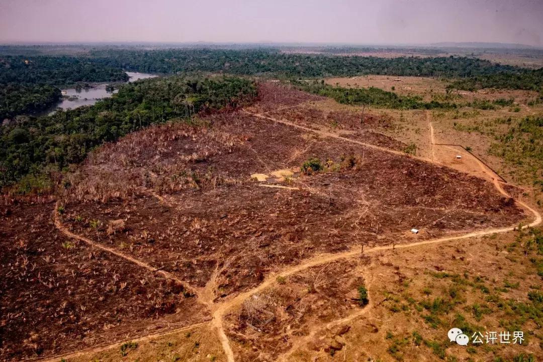 一只蝴蝶扇动翅膀引发龙卷风,南美洲的蝴蝶扇动翅膀引起龙卷风