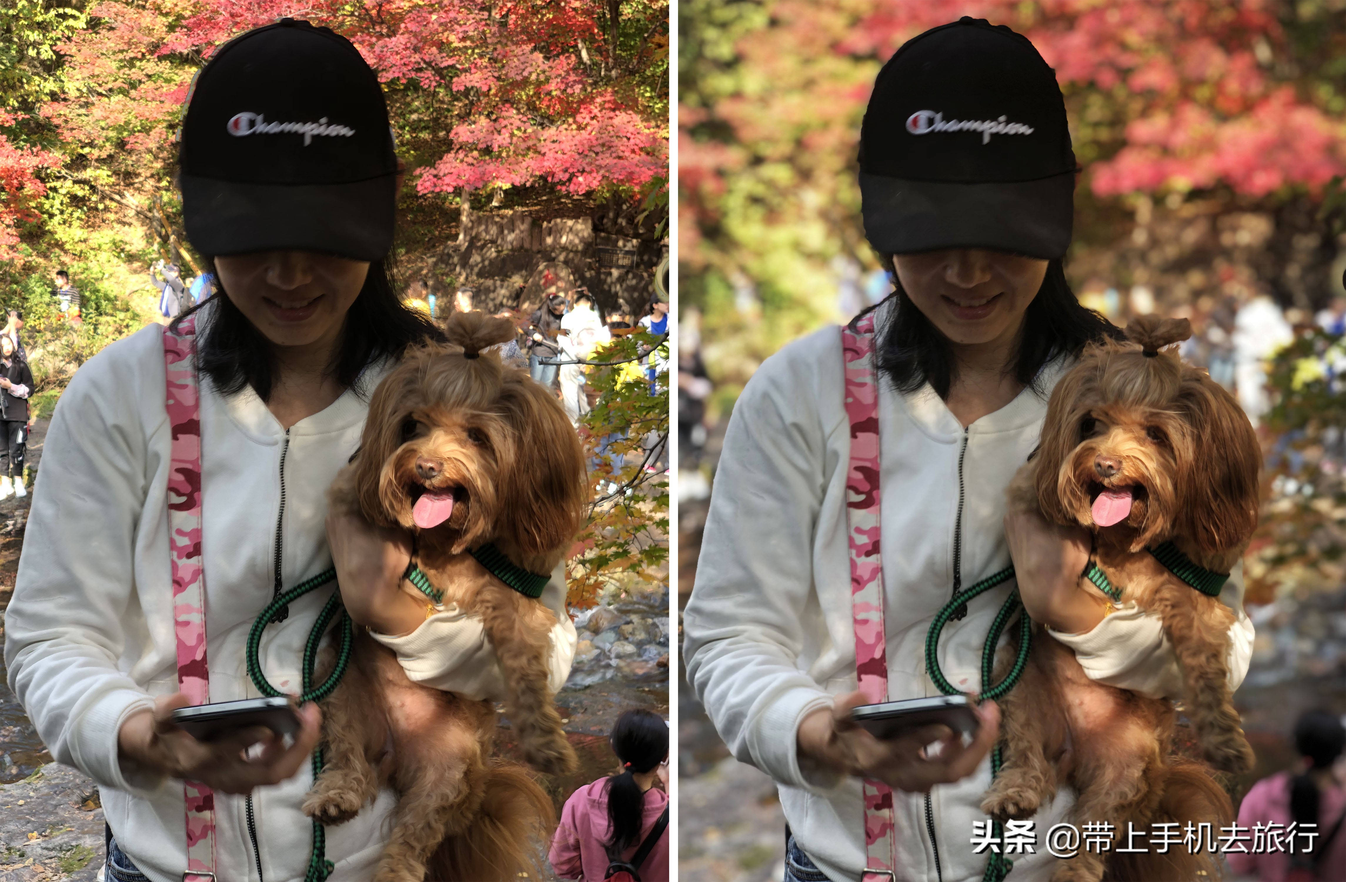 手机怎么拍出好看的画质,手机如何拍摄手机画面好看