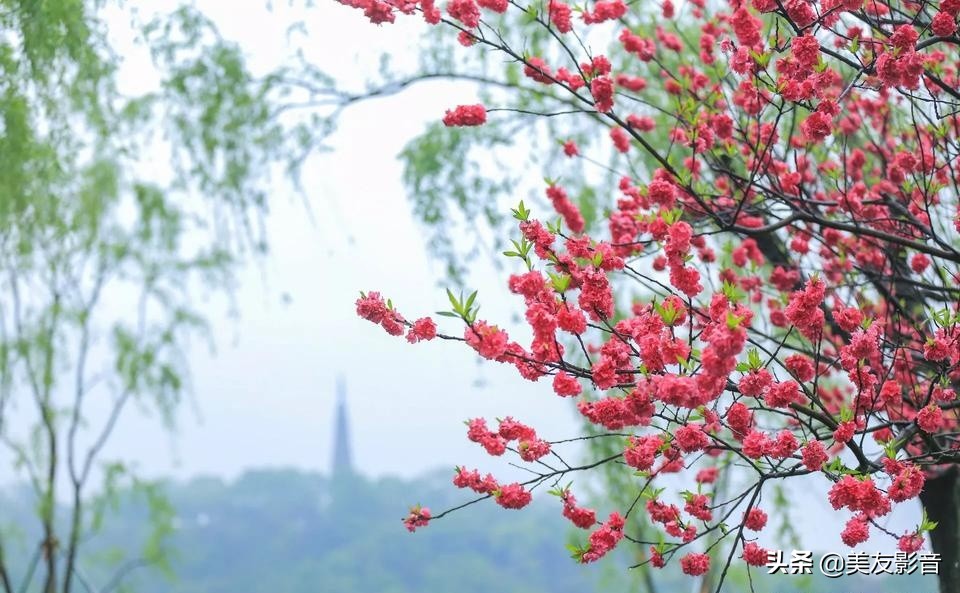 成语的误用类型有哪些,人民日报整理易错的四字成语