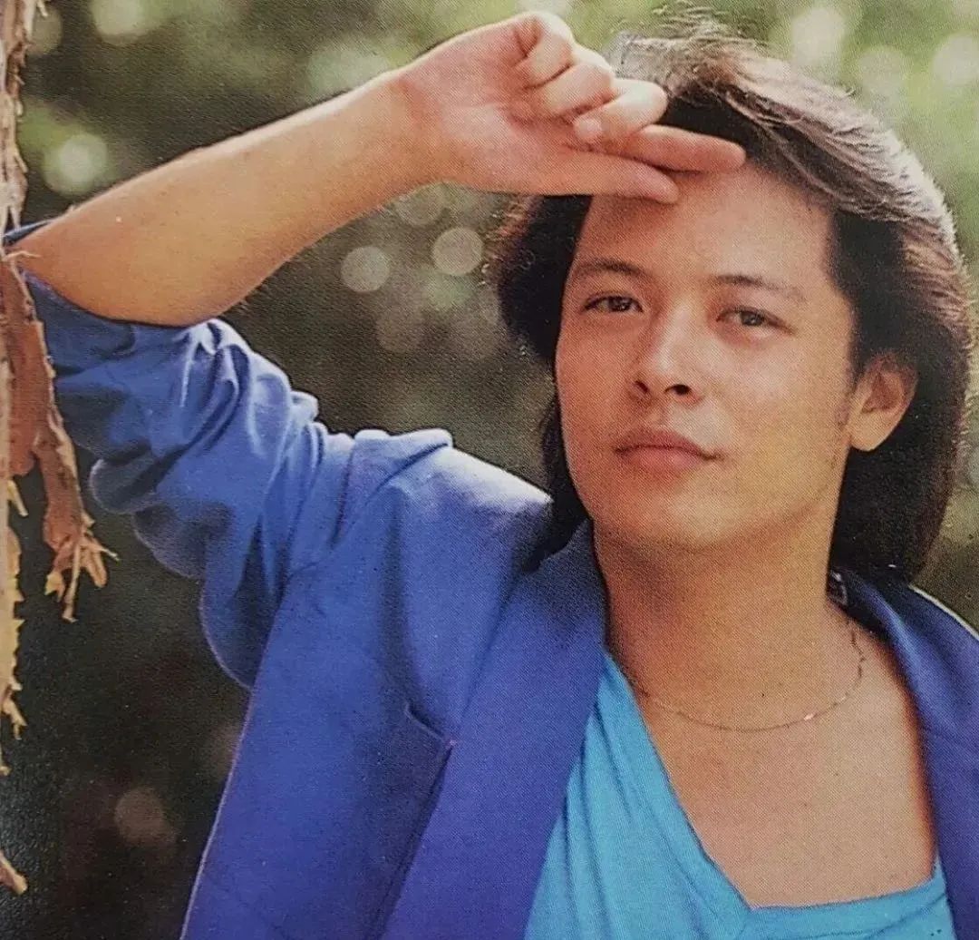 琼瑶剧的十大男性哪位最帅,前十位琼瑶剧男明星中分别都有谁