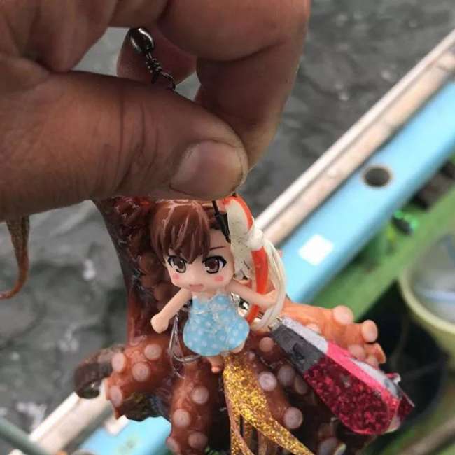 日本捕捉巨型章鱼,日本捕捉94条脚的章鱼