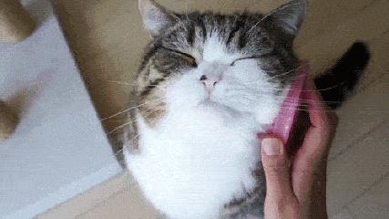 冬季滋润护肤品推荐 (秋冬皮肤干燥起皮用什么护肤品)