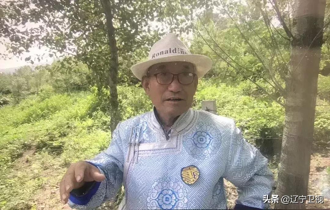 法库在哪儿？没来过好遗憾！乐游辽宁不虚此行