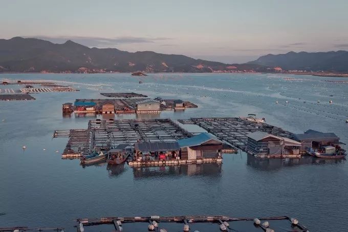霞是光，浦是海：光与海的对话，吟唱出最美的滩涂