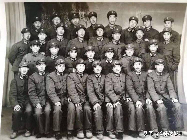 赞美美丽的雪莲花,一朵美丽的雪莲花