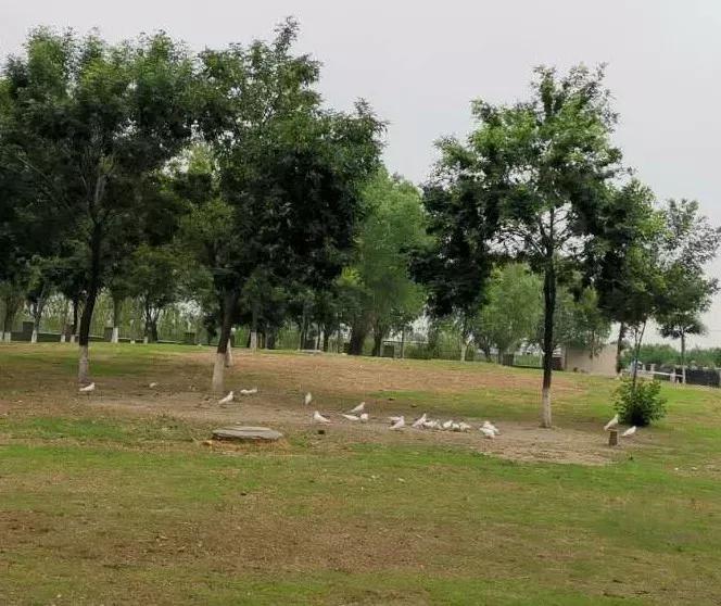 天津市独立院校（四）天津财经大学珠江学院