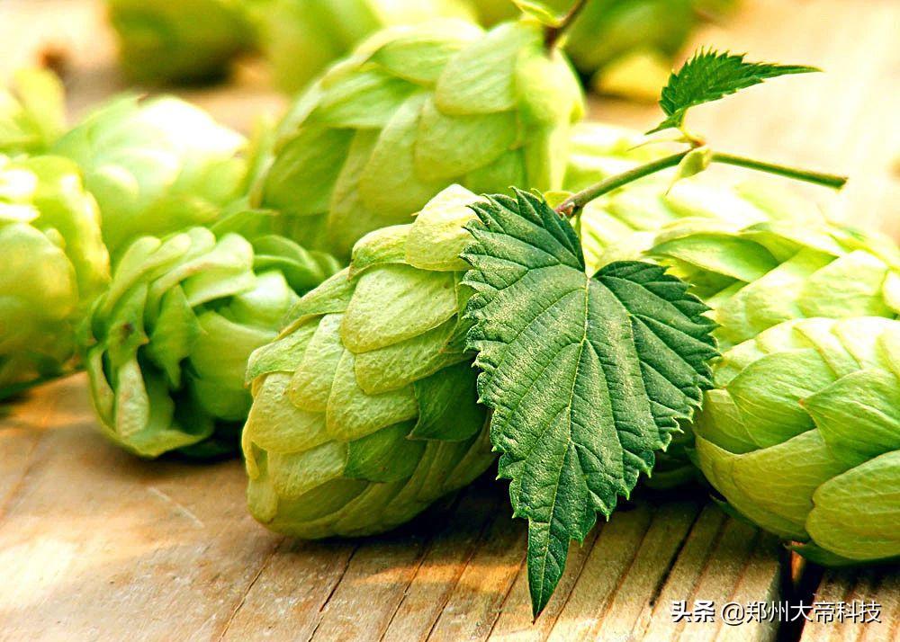 当欧洲杯遇上父亲节,开启奶爸带娃新模式