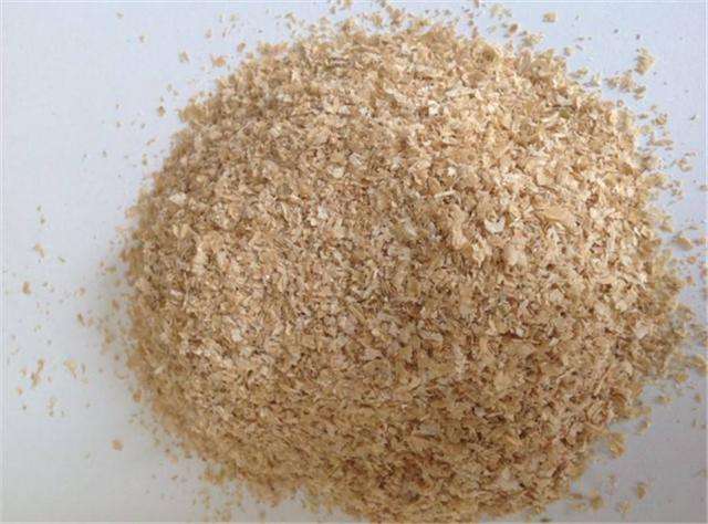 打窝打密集还是散,钓鱼打窝怎样记住打窝位置