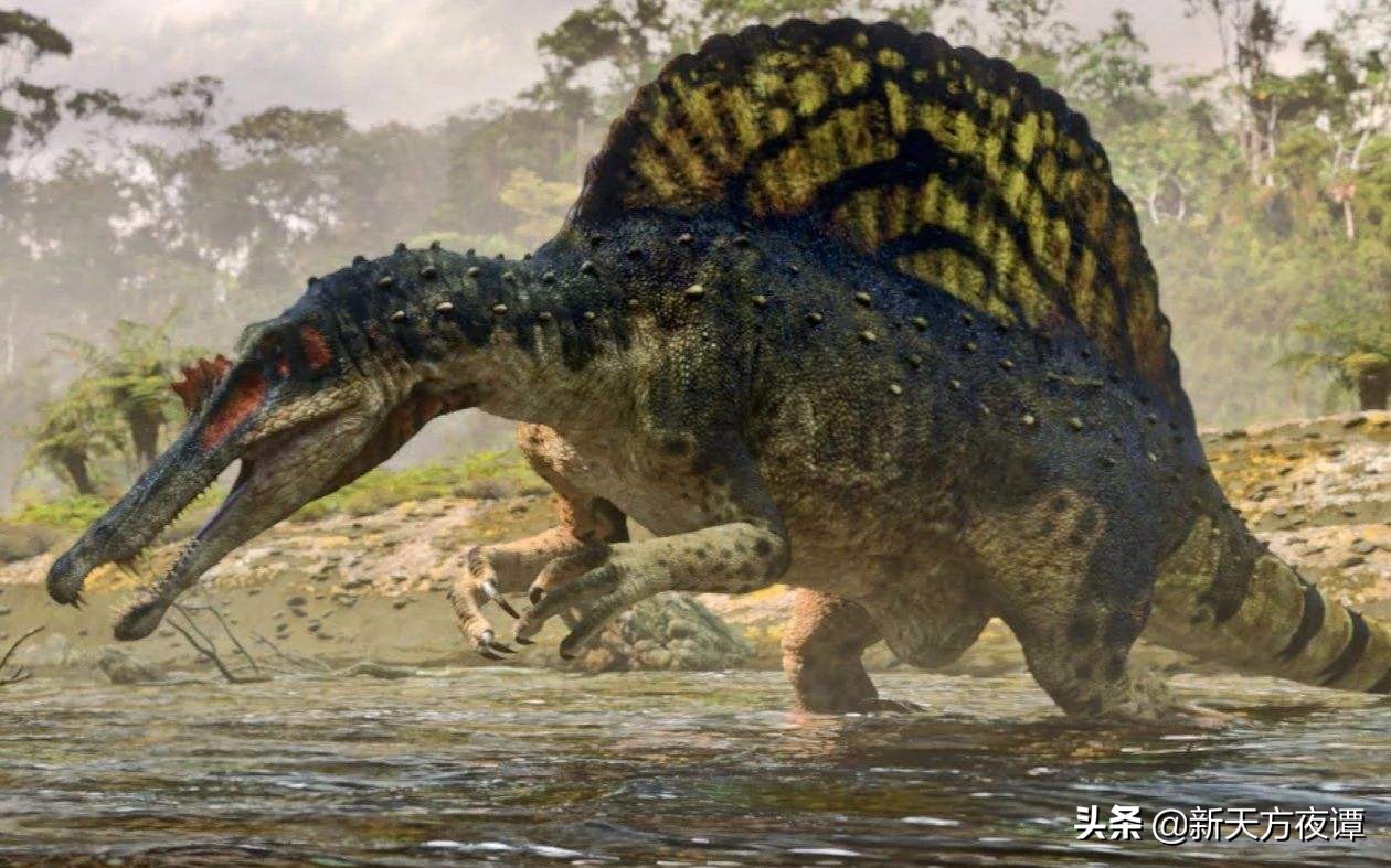 地球霸主恐龙大小排名,地球霸主恐鳄帝鳄普鲁斯鳄