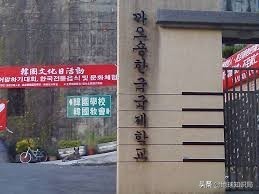 韩国人占据中国文化,韩国人能征服世界吗