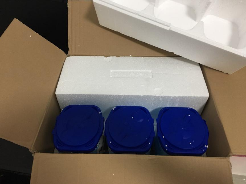 荷兰牛栏和德国爱他美奶粉哪个好,荷兰牛栏奶粉哪里可以买到正品