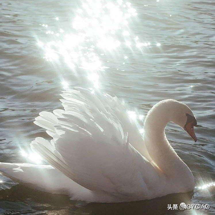 夏日这样穿简约又高级,夏日这样穿个性且有范