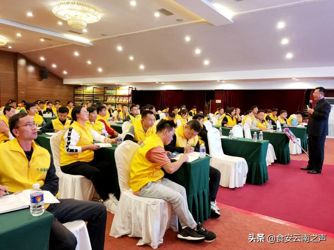 金丰汇聚，共创未来——2020“金菜花”营销精英训练营（第二期）圆满闭营