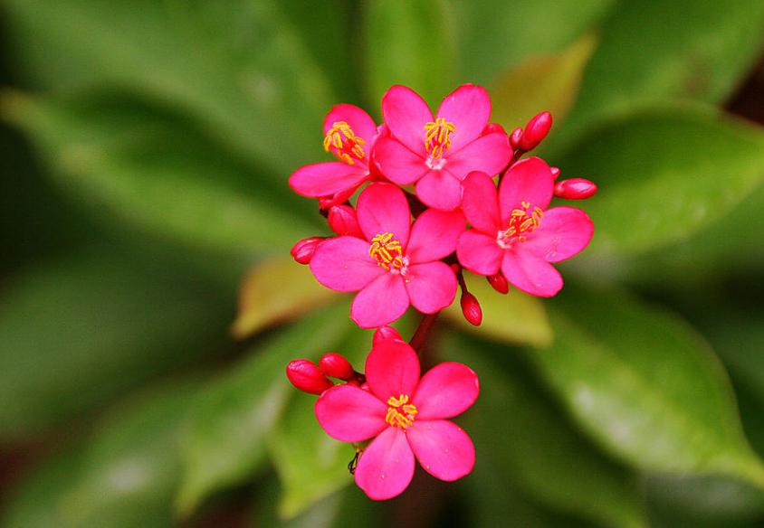 学习比其他星座优秀的几大星座,十二星座谁是学习最聪明的星座