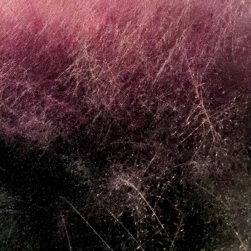 金的功用,金的功能主治