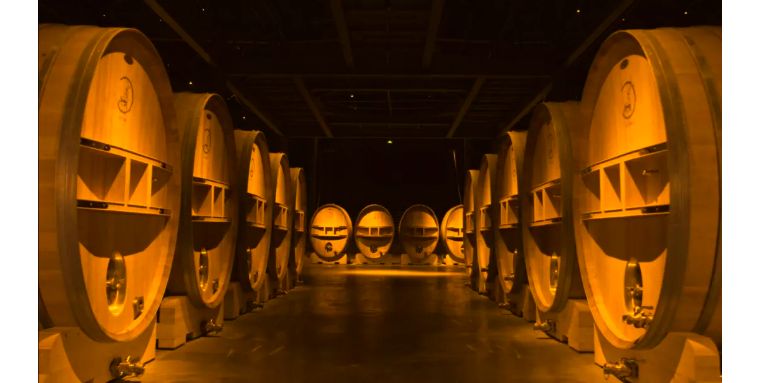 红酒中的“陈道明”,拉菲的产地---波雅克