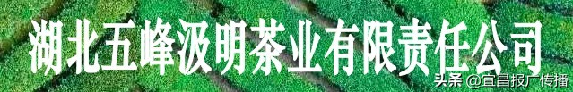 助茶农渡难关,宜昌春茶“百圆惠”上市