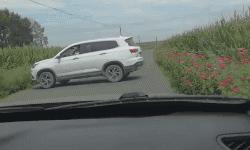 最新防割韭菜套路骗局揭秘,揭秘骗子那些割韭菜套路