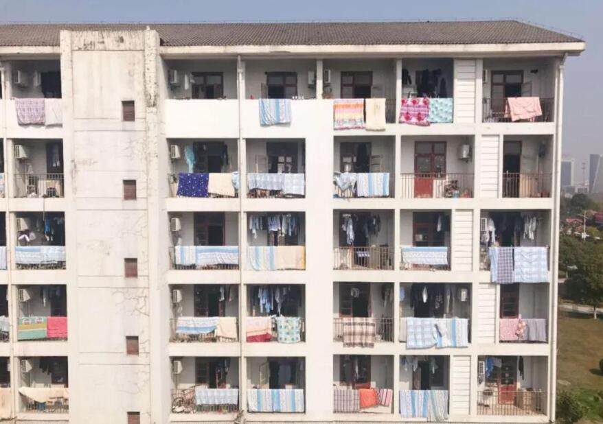 北方人来南方都有什么反应,北方人来到南方才知道冷