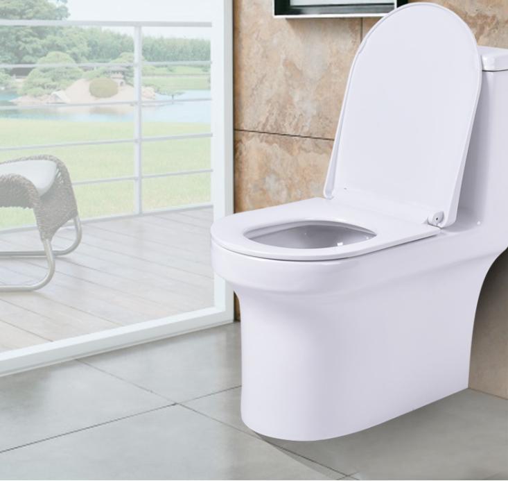 最硬核的马桶,选购卫生间马桶有什么技巧