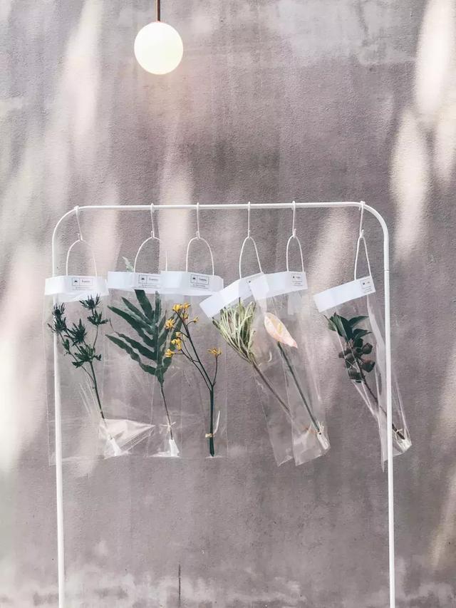 与花为伴，在这些魔都花店，邂逅另一个春天！