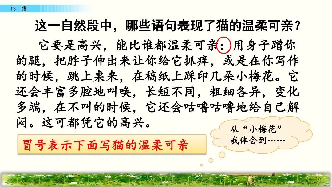 四年级下册语文13课猫课文解析,部编版四年级下册13猫教学视频